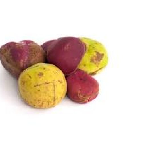 kola  fruit d’un arbre tropical,100g